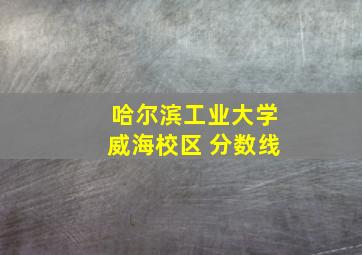 哈尔滨工业大学威海校区 分数线